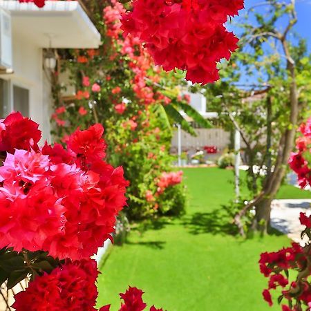 Kiraz Butik Hotel Alacati Kültér fotó